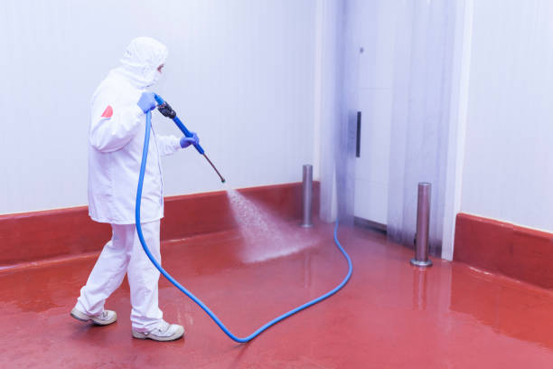 Pre-Holiday Cleaning in Palmview, TX