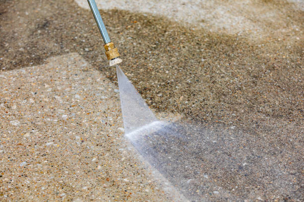 Best Soft Washing  in Palmview, TX